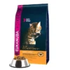 Eukanuba Top Condition 1+ Adult 10kg 1 Eukanuba Top Condition 1+ Adult 10kg -Promos Patou Noir Magasin fre pl Eukanuba Top Condition 1 Adult 10kg 16077 1