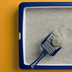 CATSAN Ultra Plus 15l 9 CATSAN Ultra Plus 15l -Promos Patou Noir Magasin fre pl CATSAN Ultra Plus 15l 23344 4