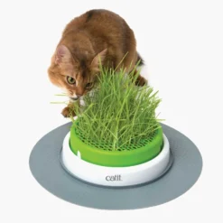 Catit Jardin D’herbe Senses 2.0 -Promos Patou Noir Magasin fre pl Catit Jardin dherbe Senses 2 0 10359 3