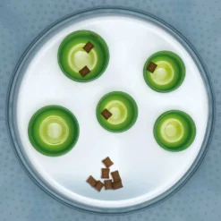 Catit Tubes à Croquettes Senses 2.0 13 Catit Tubes à Croquettes Senses 2.0 -Promos Patou Noir Magasin fre pl Catit Tubes a croquettes Senses 2 0 10303 6