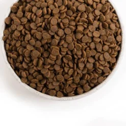 Chat Des Prairies Sauvages ACANA 4,5 Kg -Promos Patou Noir Magasin fre pl Chat des prairies sauvages ACANA 4 5 kg 28396 3