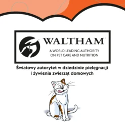 DREAMIES Friandise Au Poulet Pour Chat 180g 10 DREAMIES Friandise Au Poulet Pour Chat 180g -Promos Patou Noir Magasin fre pl DREAMIES Friandise au poulet pour chat 180g 10099 3