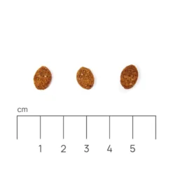 Eminent Cat Adult Poulet 32/14 10kg -Promos Patou Noir Magasin fre pl Eminent Cat Adult Poulet 32 14 10kg 26607 4