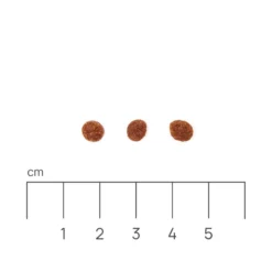 Eminent Cat Kitten 34/20 2kg+ Surprise Gratuite Pour Votre Chat -Promos Patou Noir Magasin fre pl Eminent Cat Kitten 34 20 2kg Surprise gratuite pour votre chat 27384 2