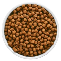 Hills Hill's PD Prescription Diet Feline L/d 1,5kg -Promos Patou Noir Magasin fre pl Hills PD Prescription Diet Feline L d 1 5kg 12912 3