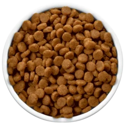 Hills Hill's PD Prescription Diet Feline C/d Multicare Poulet 1,5kg -Promos Patou Noir Magasin fre pl Hills PD Prescription Diet Feline c d Multicare Poulet 1 5kg 12833 3