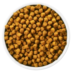 Hills Hill's PD Prescription Diet Feline M/d Poulet 1,5kg -Promos Patou Noir Magasin fre pl Hills PD Prescription Diet Feline m d Poulet 1 5kg 12917 1