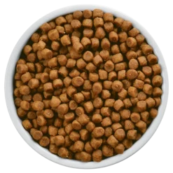 Hills Hill's PD Prescription Diet Feline S/d 1,5kg 7 Hills Hill's PD Prescription Diet Feline S/d 1,5kg -Promos Patou Noir Magasin fre pl Hills PD Prescription Diet Feline s d 1 5kg 12928 3