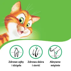 KITEKAT - Nourriture Sèche Pour Chats Avec Poisson Et Aux Légumes 12kg +Surprise Gratuit Pour Chat -Promos Patou Noir Magasin fre pl KITEKAT nourriture seche pour chats avec poisson et aux legumes 12kg Surprise gratuit pour chat 27800 5