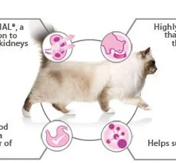 PURINA PRO PLAN PRO PLAN Delicate Digestion Aliments Pour Chats Riches En Dinde 10kg -Promos Patou Noir Magasin fre pl PRO PLAN Delicate Digestion aliments pour chats riches en dinde 10kg 15125 2