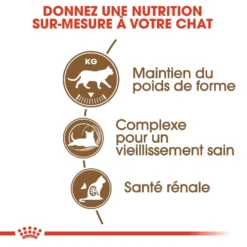 ROYAL CANIN Ageing Sterilised +12 2kg 10 ROYAL CANIN Ageing Sterilised +12 2kg -Promos Patou Noir Magasin fre pl ROYAL CANIN Ageing Sterilised 12 2kg 16900 3