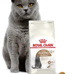 ROYAL CANIN Ageing Sterilised +12 2kg 11 ROYAL CANIN Ageing Sterilised +12 2kg -Promos Patou Noir Magasin fre pl ROYAL CANIN Ageing Sterilised 12 2kg 16900 4