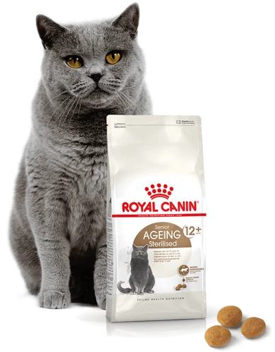 ROYAL CANIN Ageing Sterilised +12 2kg 6 ROYAL CANIN Ageing Sterilised +12 2kg – Image 4