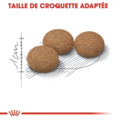 ROYAL CANIN Ageing Sterilised +12 2kg 12 ROYAL CANIN Ageing Sterilised +12 2kg -Promos Patou Noir Magasin fre pl ROYAL CANIN Ageing Sterilised 12 2kg 16900 7
