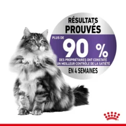 ROYAL CANIN Appetite Control Care 3,5kg -Promos Patou Noir Magasin fre pl ROYAL CANIN Appetite Control Care 3 5kg 13158 5