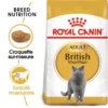 ROYAL CANIN British Shorthair Adult 4kg