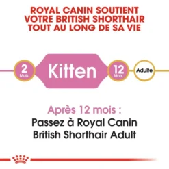ROYAL CANIN British Shorthair Kitten 10kg -Promos Patou Noir Magasin fre pl ROYAL CANIN British Shorthair Kitten 10kg 16887 3