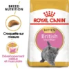 ROYAL CANIN British Shorthair Kitten 2kg -Promos Patou Noir Magasin fre pl ROYAL CANIN British Shorthair Kitten 2kg 16882 1