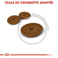 ROYAL CANIN Digestive Care 4kg -Promos Patou Noir Magasin fre pl ROYAL CANIN Digestive Care 4kg 15982 5