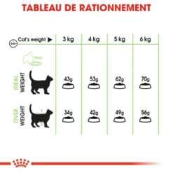 ROYAL CANIN Digestive Care 4kg -Promos Patou Noir Magasin fre pl ROYAL CANIN Digestive Care 4kg 15982 6