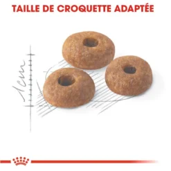 ROYAL CANIN Fit 32 2kg 11 ROYAL CANIN Fit 32 2kg -Promos Patou Noir Magasin fre pl ROYAL CANIN Fit 32 2kg 15995 3