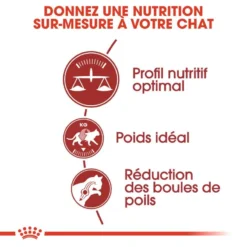 ROYAL CANIN Fit 32 2kg 10 ROYAL CANIN Fit 32 2kg -Promos Patou Noir Magasin fre pl ROYAL CANIN Fit 32 2kg 15995 4