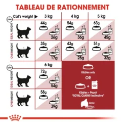 ROYAL CANIN Fit 32 2kg 13 ROYAL CANIN Fit 32 2kg -Promos Patou Noir Magasin fre pl ROYAL CANIN Fit 32 2kg 15995 6