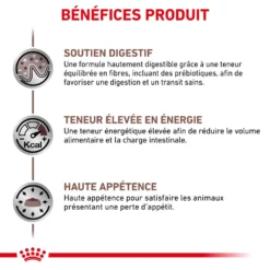 ROYAL CANIN Gastrointestinal 12x85g 9 ROYAL CANIN Gastrointestinal 12x85g -Promos Patou Noir Magasin fre pl ROYAL CANIN Gastrointestinal 12x85g 12321 3