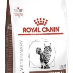 ROYAL CANIN Gastrointestinal 2kg CHAT 9 ROYAL CANIN Gastrointestinal 2kg CHAT -Promos Patou Noir Magasin fre pl ROYAL CANIN Gastrointestinal 2kg CHAT 16000 2