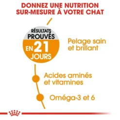 ROYAL CANIN Hair And Skin Care 4kg -Promos Patou Noir Magasin fre pl ROYAL CANIN Hair And Skin Care 4kg 16023 4