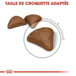 ROYAL CANIN Hairball Care 2kg -Promos Patou Noir Magasin fre pl ROYAL CANIN Hairball Care 2kg 16036 5