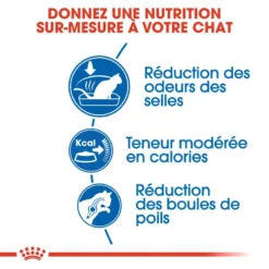 ROYAL CANIN Indoor 27 10kg -Promos Patou Noir Magasin fre pl ROYAL CANIN Indoor 27 10kg 16030 5