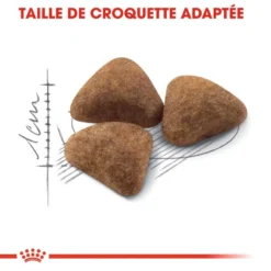 ROYAL CANIN Indoor 27 2kg -Promos Patou Noir Magasin fre pl ROYAL CANIN Indoor 27 2kg 16031 4