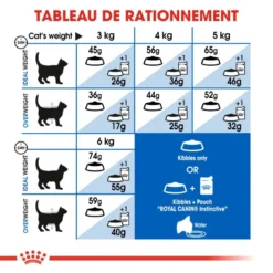 ROYAL CANIN Indoor 27 2kg -Promos Patou Noir Magasin fre pl ROYAL CANIN Indoor 27 2kg 16031 6