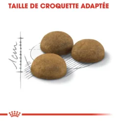 ROYAL CANIN Indoor Long Hair 400g X2 -Promos Patou Noir Magasin fre pl ROYAL CANIN Indoor Long Hair 400g x2 30743 3