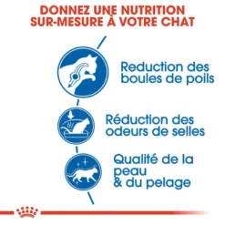 ROYAL CANIN Indoor Long Hair 400g X2 -Promos Patou Noir Magasin fre pl ROYAL CANIN Indoor Long Hair 400g x2 30743 4