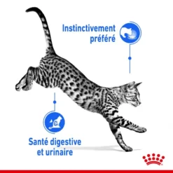 ROYAL CANIN Indoor Sterilised Sauce 12x85g -Promos Patou Noir Magasin fre pl ROYAL CANIN Indoor Sterilised Sauce 12x85g 12296 3