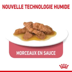 ROYAL CANIN Indoor Sterilised Sauce 12x85g -Promos Patou Noir Magasin fre pl ROYAL CANIN Indoor Sterilised Sauce 12x85g 12296 4