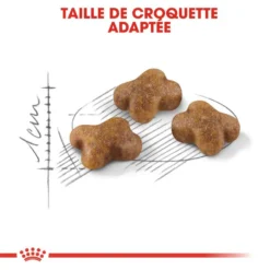 ROYAL CANIN Kitten 2kg -Promos Patou Noir Magasin fre pl ROYAL CANIN Kitten 2kg 9250 6