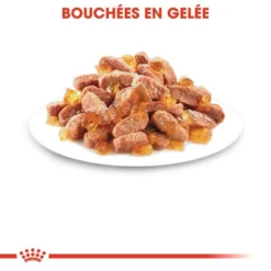 ROYAL CANIN Kitten Sterilised 12x85g -Promos Patou Noir Magasin fre pl ROYAL CANIN Kitten Sterilised 12x85g 9535 1