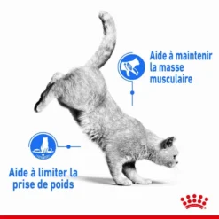 ROYAL CANIN Light Weight Care 8kg -Promos Patou Noir Magasin fre pl ROYAL CANIN Light Weight Care 8kg 13611 3