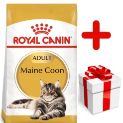 ROYAL CANIN Maine Coon Adult 10kg + Surprise Pour Votre Chat GRATUITES !