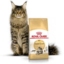 ROYAL CANIN Maine Coon Adult 10kg + Surprise Pour Votre Chat GRATUITES ! -Promos Patou Noir Magasin fre pl ROYAL CANIN Maine Coon Adult 10kg surprise pour votre chat GRATUITES 17885 3