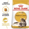 ROYAL CANIN Maine Coon Adult 400g -Promos Patou Noir Magasin fre pl ROYAL CANIN Maine Coon Adult 400g 16070 1
