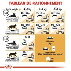 ROYAL CANIN Maine Coon Adult 400g -Promos Patou Noir Magasin fre pl ROYAL CANIN Maine Coon Adult 400g 16070 6