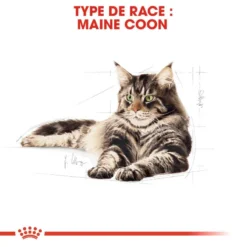 ROYAL CANIN Maine Coon Adult 4kg 10 ROYAL CANIN Maine Coon Adult 4kg -Promos Patou Noir Magasin fre pl ROYAL CANIN Maine Coon Adult 4kg 16071 3