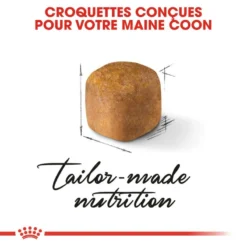 ROYAL CANIN Maine Coon Kitten 2kg -Promos Patou Noir Magasin fre pl ROYAL CANIN Maine Coon Kitten 2kg 9612 4