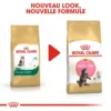ROYAL CANIN Maine Coon Kitten 2kg -Promos Patou Noir Magasin fre pl ROYAL CANIN Maine Coon Kitten 2kg 9612 6