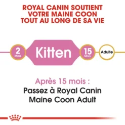 ROYAL CANIN Maine Coon Kitten 400g X2 -Promos Patou Noir Magasin fre pl ROYAL CANIN Maine Coon Kitten 400g x2 30770 2