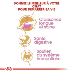 ROYAL CANIN Maine Coon Kitten 400g X2 -Promos Patou Noir Magasin fre pl ROYAL CANIN Maine Coon Kitten 400g x2 30770 3